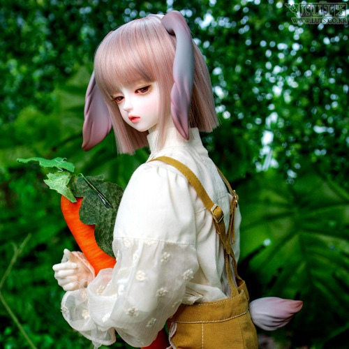 Senior Delf Bunny Ears and Tail set ver2 Lop ears Limited