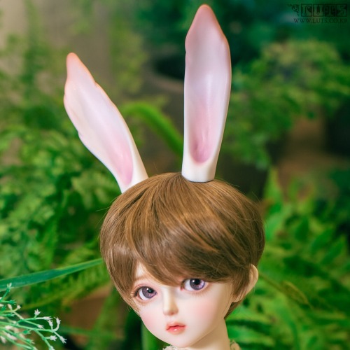 Senior Delf Bunny Ears ver1 Limited