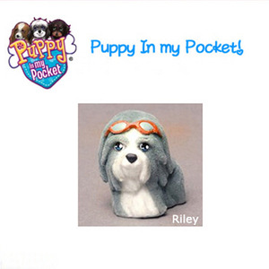 PUPPY IN MY POCKET Riley