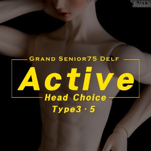 Grand Senior Delf  Type3, Type5  Active ver Limited Head Choice